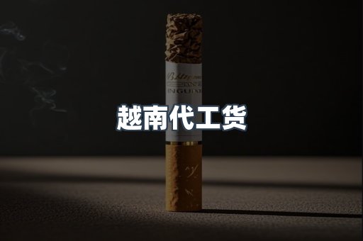 越南代工货